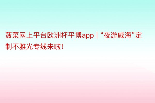 菠菜网上平台欧洲杯平博app | “夜游威海”定制不雅光专线来啦！